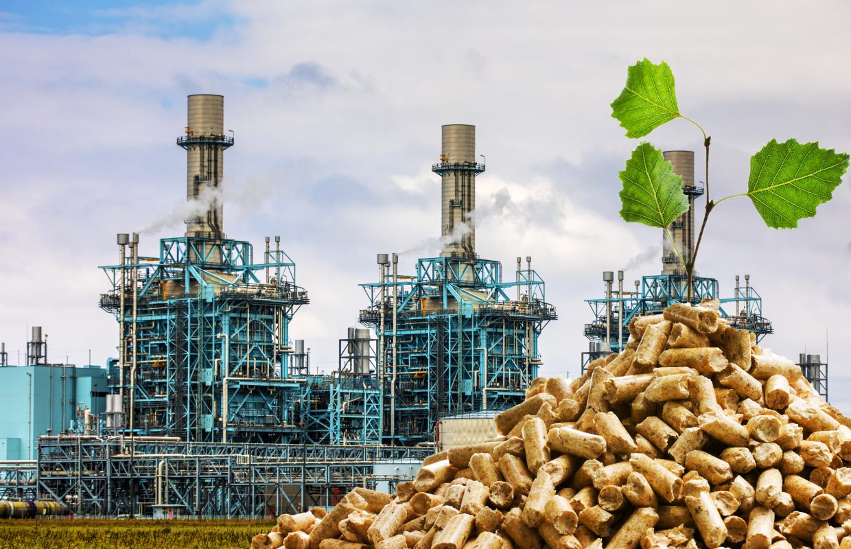 De Gaulle Fleurance & Associés accompagne Pearl pour l’acquisition des activités biomasse d’Akuo