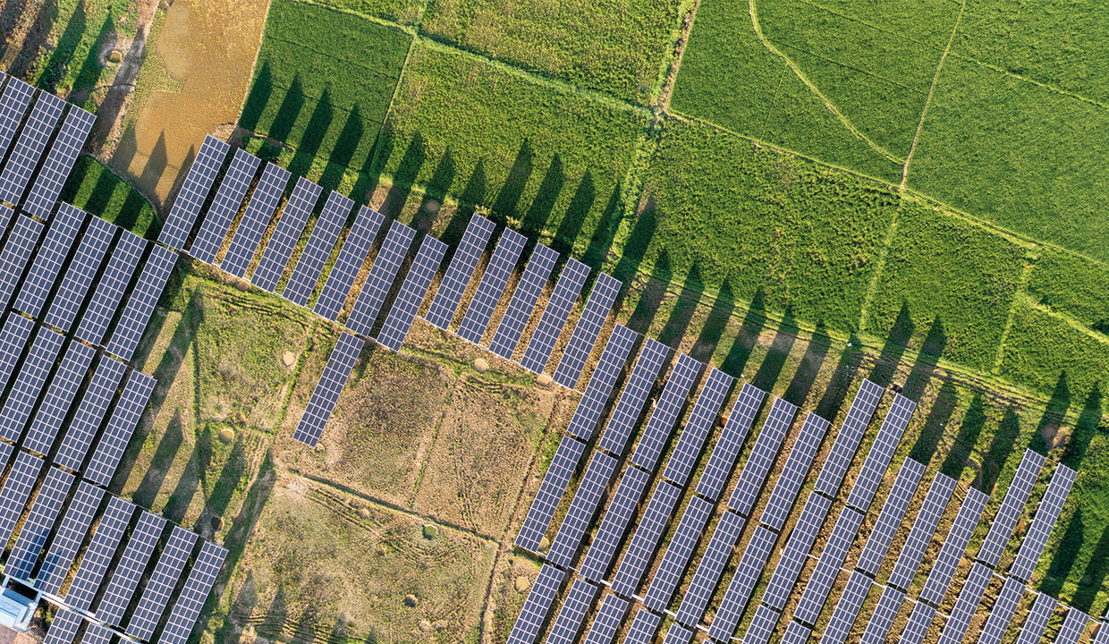 Décret agrivoltaïsme : un cadre juridique pour concilier agriculture et énergie solaire