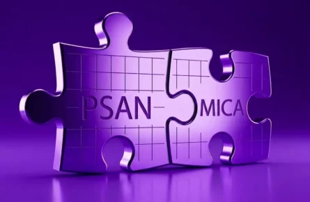 psan-mica-degaullefleurance