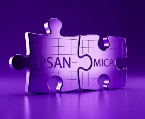 psan-mica-degaullefleurance